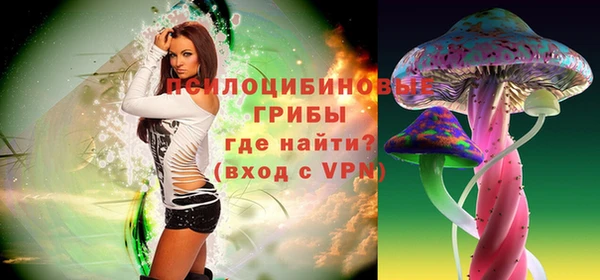 гидра Алзамай