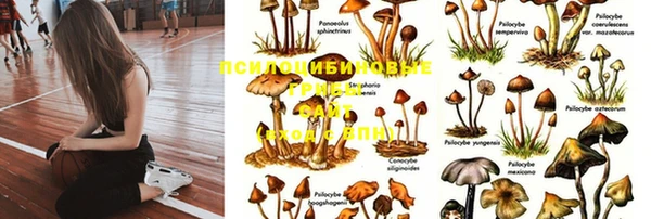 гидра Алзамай