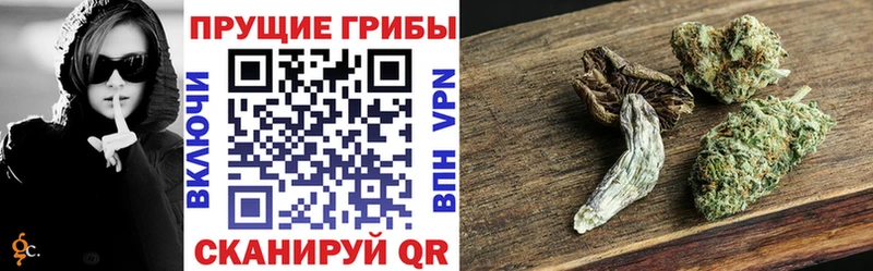 Псилоцибиновые грибы ЛСД  darknet наркотические препараты  Поронайск 